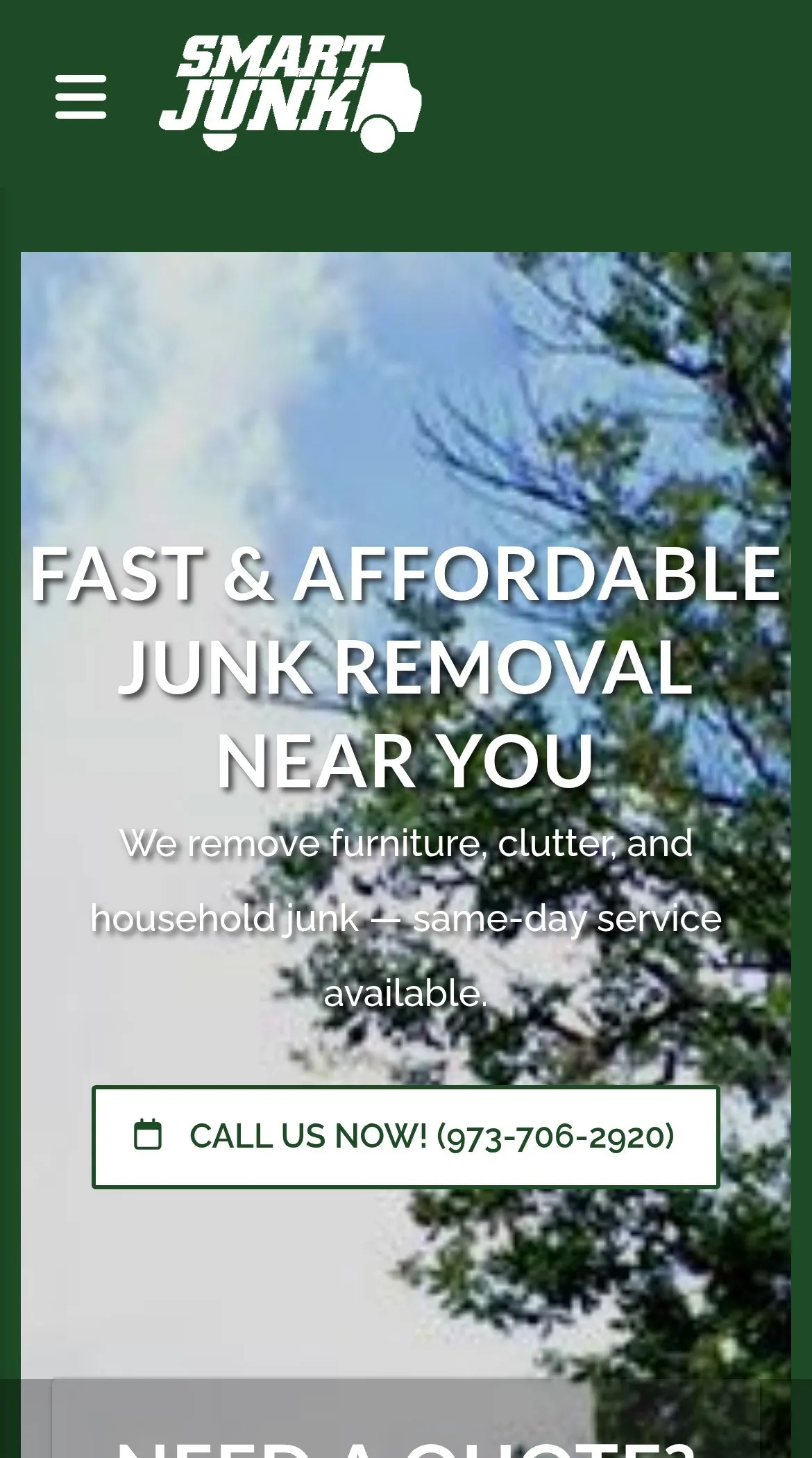 Smart Junk, the home page on a phone